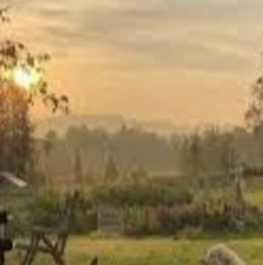 Meet your Posher, Aubrey